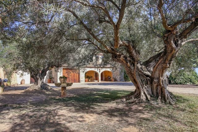 Tradicional finca mediterránea con mucha privacidad y fantásticas vistas en Moraira (Alicante)