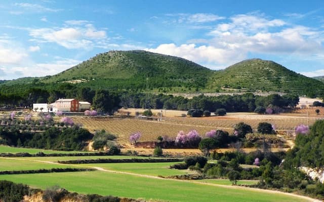 Exceptional 196 hectares estate with an 18th century farmhouse converted into a hotel 1 hour from Valencia and Alicante.