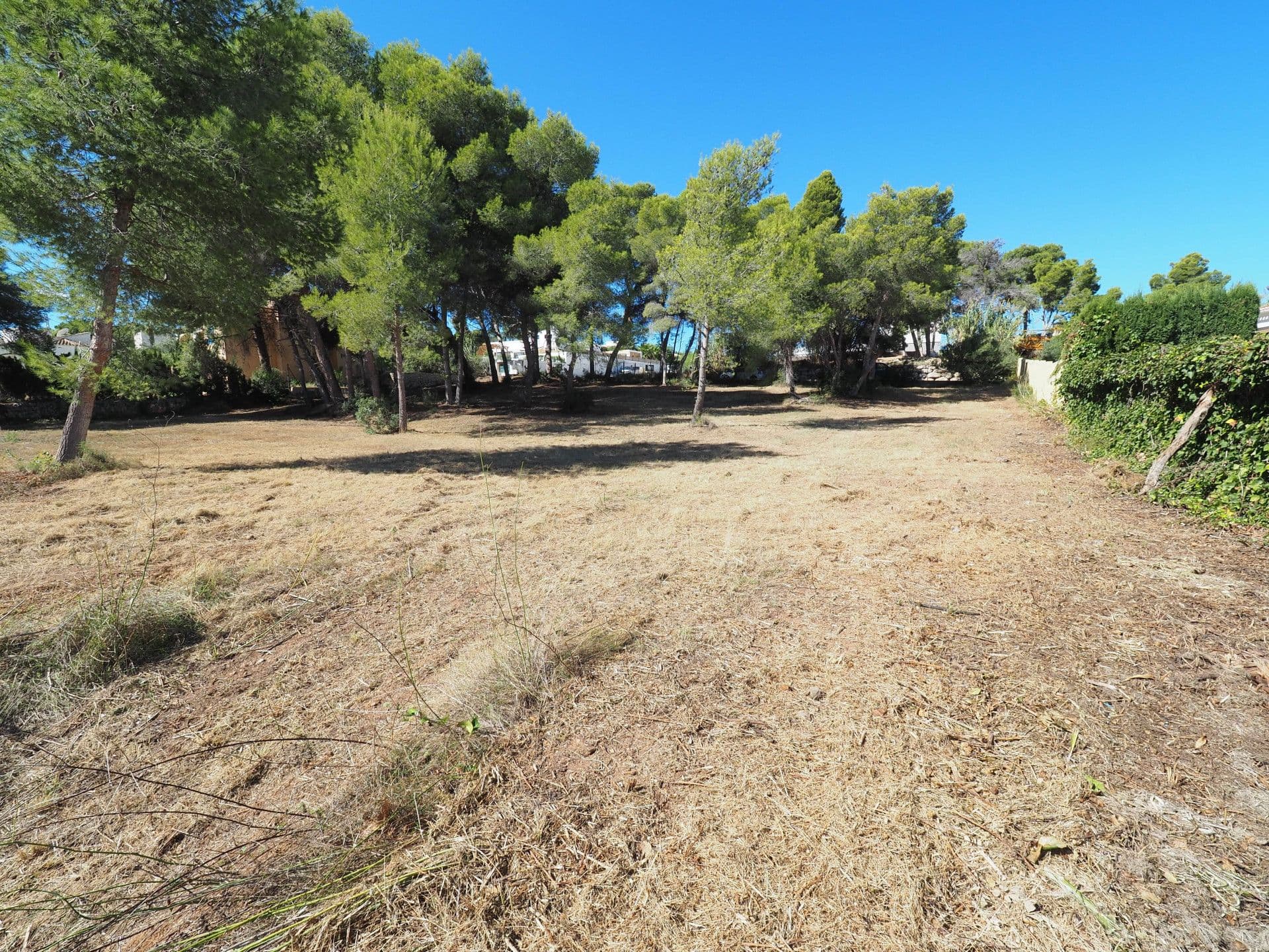 Trois parcelles situées à Adsubia, Javea. Distance de marche au supermarché et à la plage de La Caleta de Jávea.